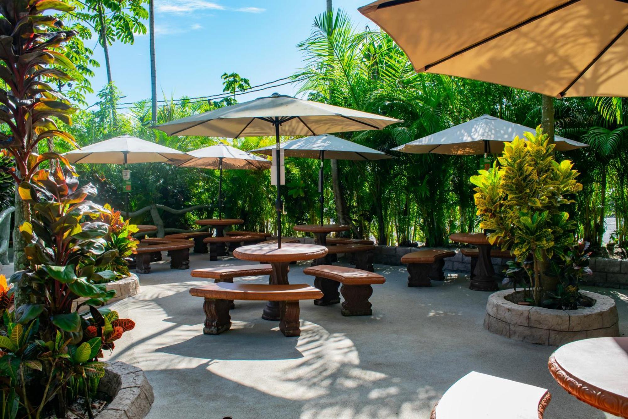 Hotel Relax Termalitas - Thermal Water La Fortuna Dış mekan fotoğraf